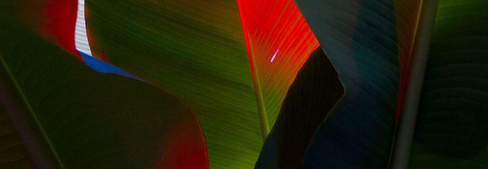 update-blog3 update-blog3